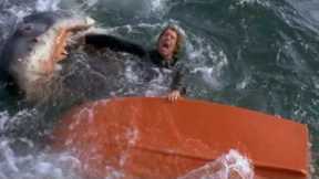 The Huge Blooper That Everyone Missed in Jaws, It’s Obvious Now